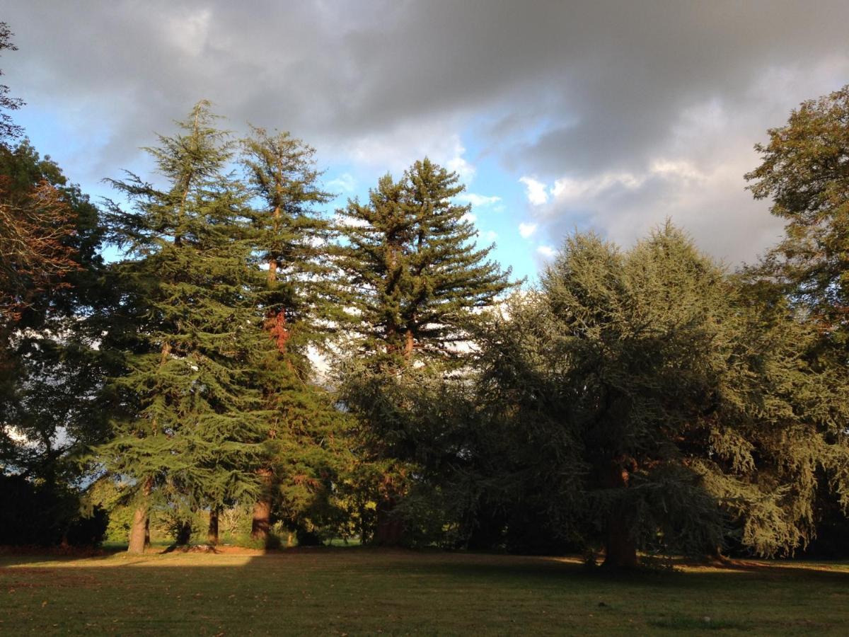 Villa La Sabatière à Bergerac Extérieur photo